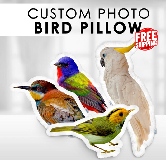 Custom Bird Pillow With Pet Photo - Customized Bird Loss gift - Bird Pillow - Budgerigar Canary Cockatie - Parrot Memorial Photo Cushion - Personalized Bird Pillows - Tropical Bird Lovers