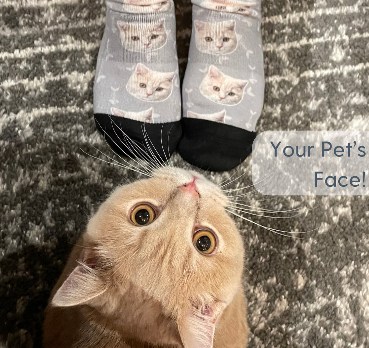 Custom Pet Photo Socks Personalized Pet Socks Custom Dog Socks Custom Cat Socks Fathers Day Gifts Cat Dad Gift Dog Dad Gifts Dog Face Socks